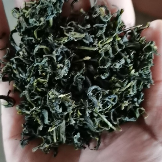日照 正宗日照绿茶厂家，口感纯正