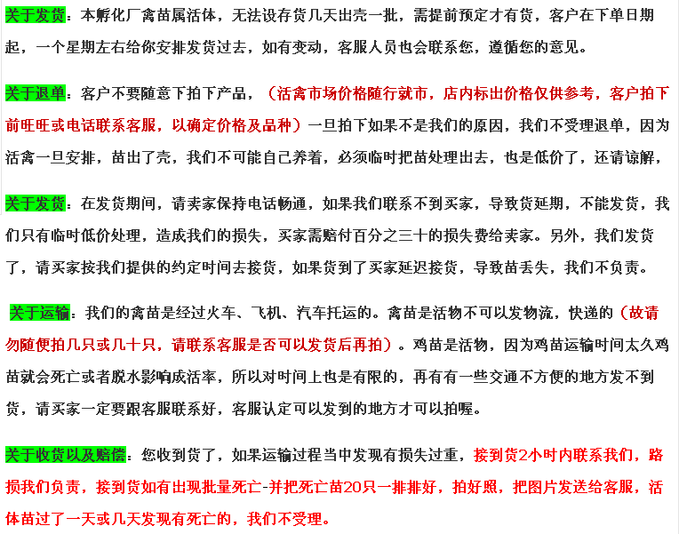 红瑶鸡苗  包出壳疫苗包运输