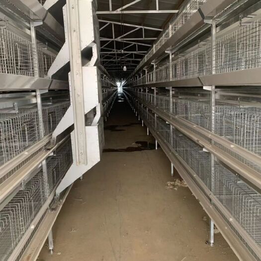 西平县 自动化鸡笼设备