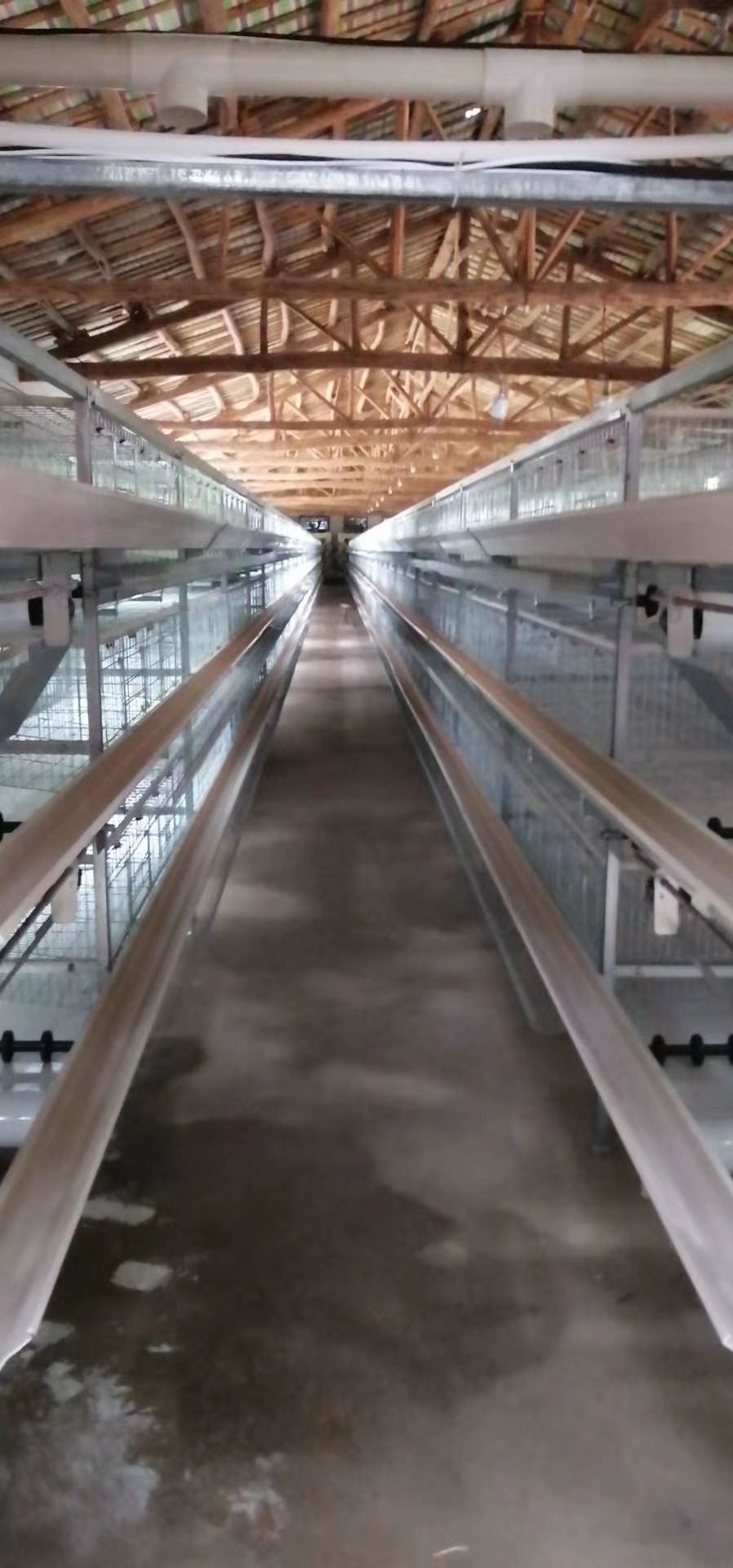 小层叠蛋鸡笼设备