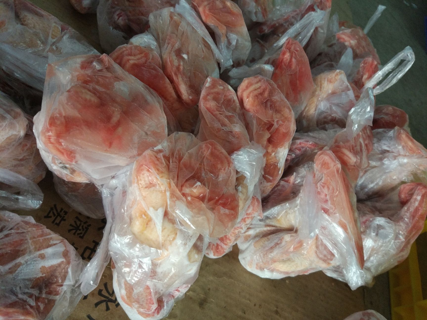 白鸽  速冻乳鸽批发(全国发货