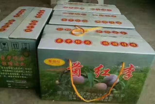 宜宾 宜宾特产茵红李！口感青脆！