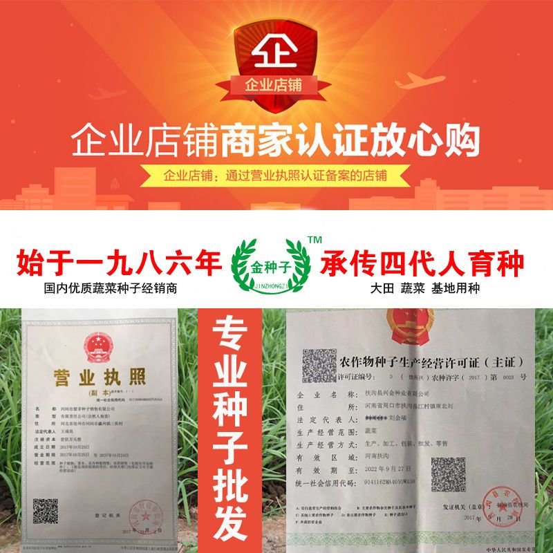 向日葵种苗 高杆观赏食用向日葵种籽葵花籽蔬菜种观赏花种籽子瓜子四季盆栽花