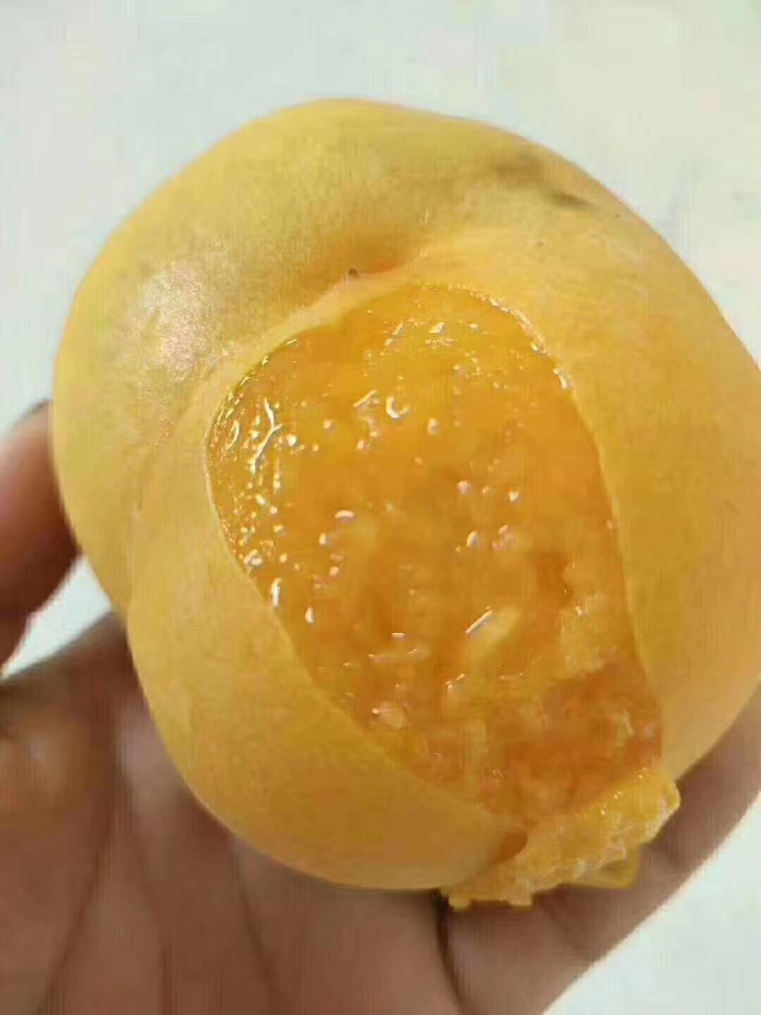 沂蒙毛桃 金蜜黄毛1