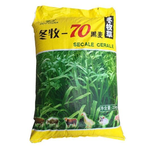 南宁冬牧草种子 冬牧70黑麦草种子宽叶秋冬麦草耐寒高产蓄牧草猪牛羊鸡鸭鹅鱼草