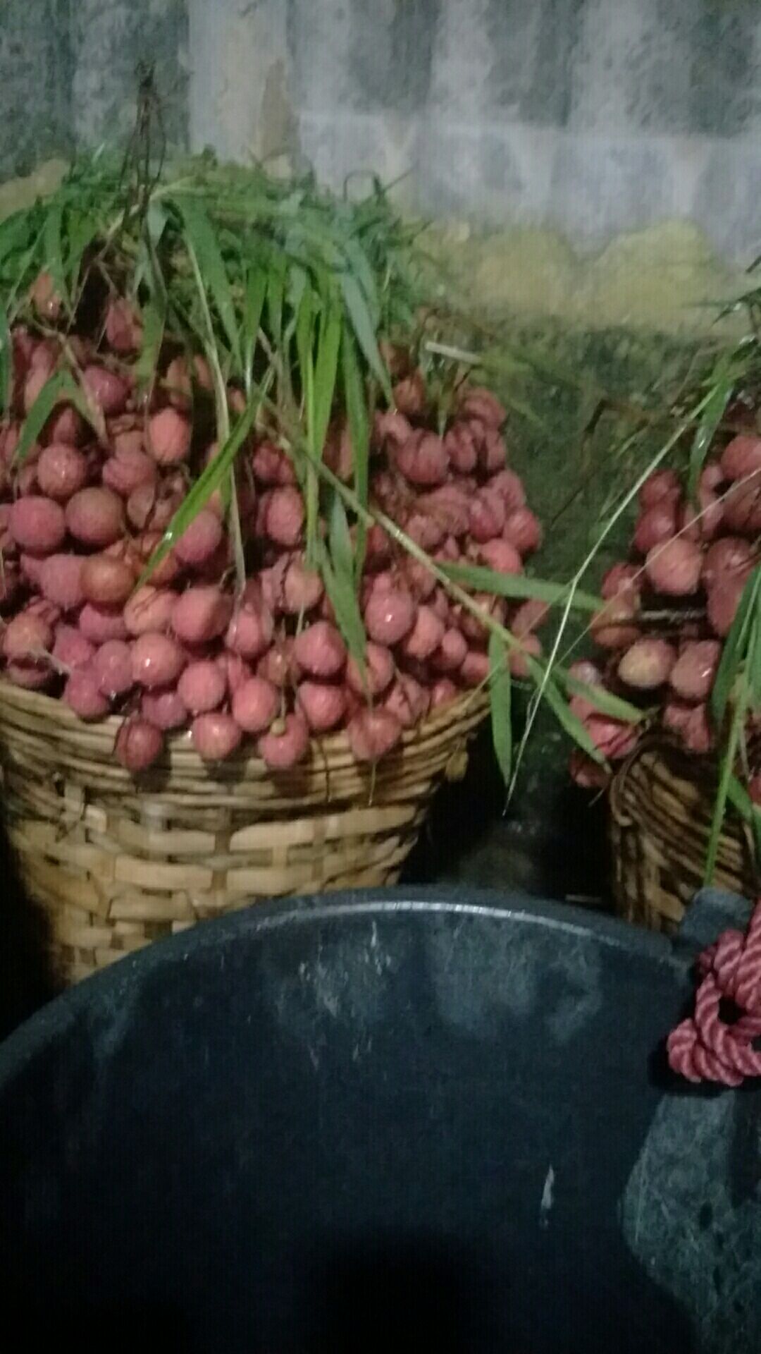  黑叶荔枝，大量上市。