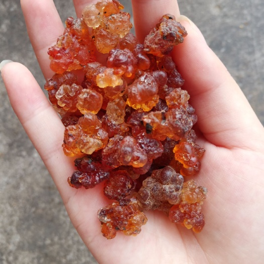 随县食用桃胶 红黄胶