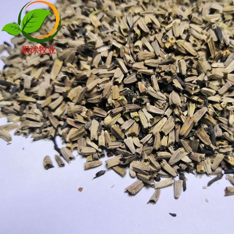  松果菊种子紫锥花紫锥菊紫松果菊花种籽多年生耐旱耐寒四季播种花