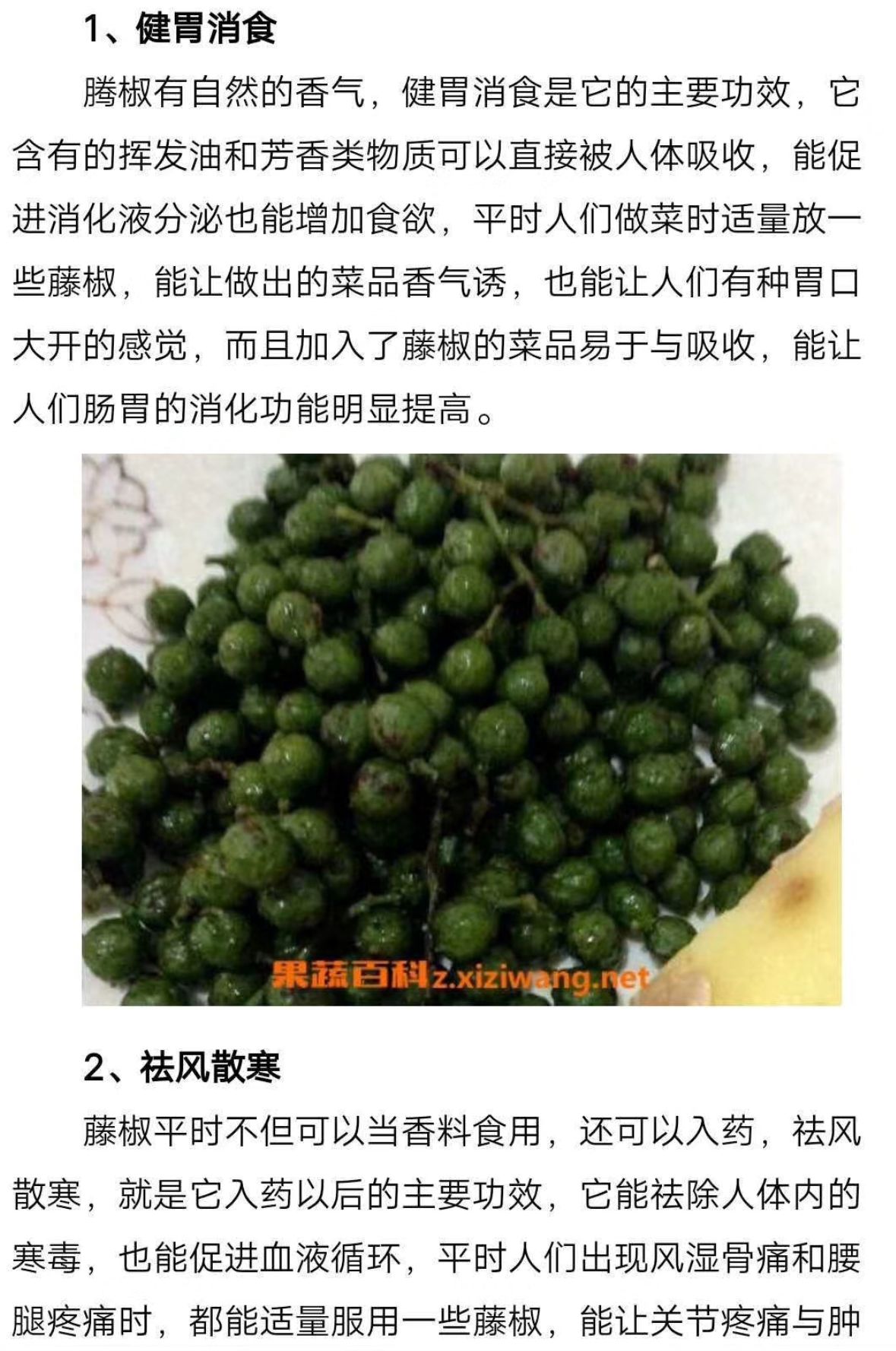  2020年藤椒即将上市