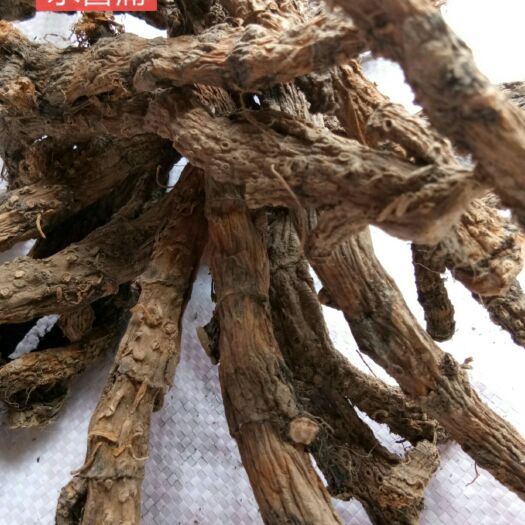 水菖蒲 非人工種植 貨干 含量高