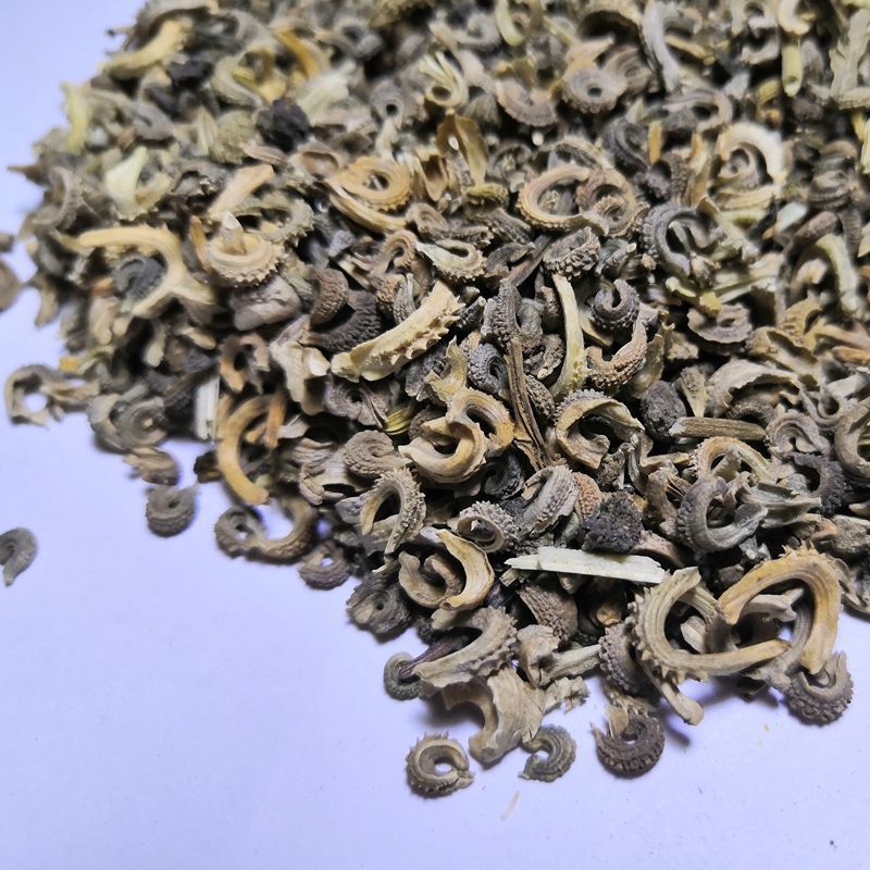  金盏菊种子盏盏菊黄金盏长生菊醒酒花常春花金盏种籽四季开花花卉