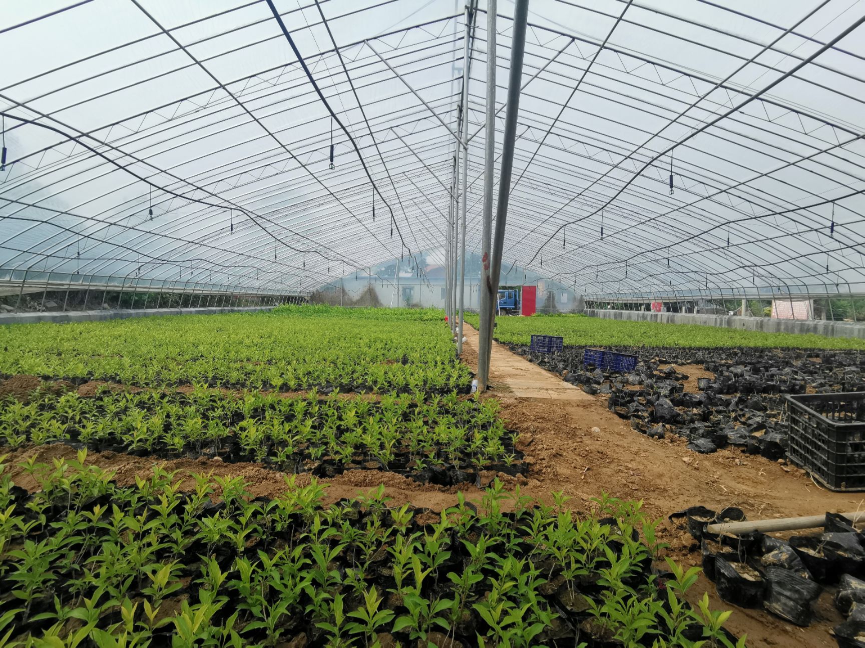  成套蔬菜大棚，蔬菜种植大棚， 花卉种植大棚，育苗大棚