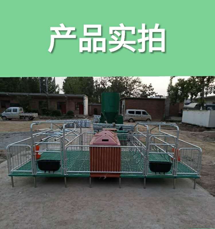  母猪产床保育床两用，热镀锌管、优质复合板复合保温箱、钢板料槽
