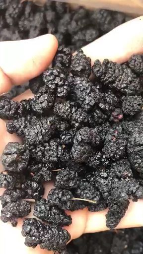 我这里有大量桑葚干需要的可以联系