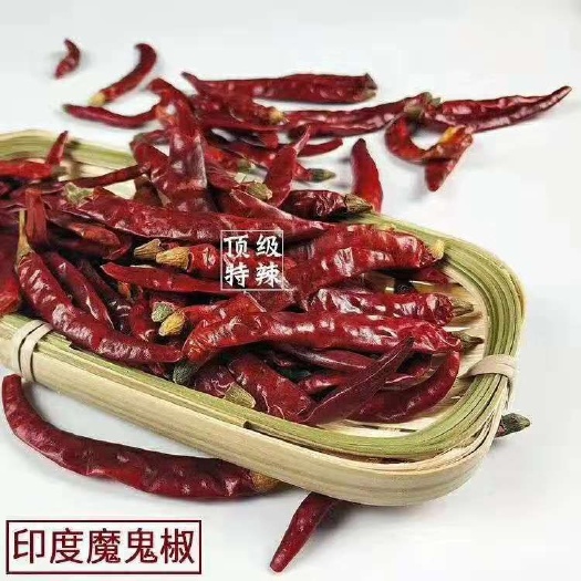 重庆市印度椒  干辣椒