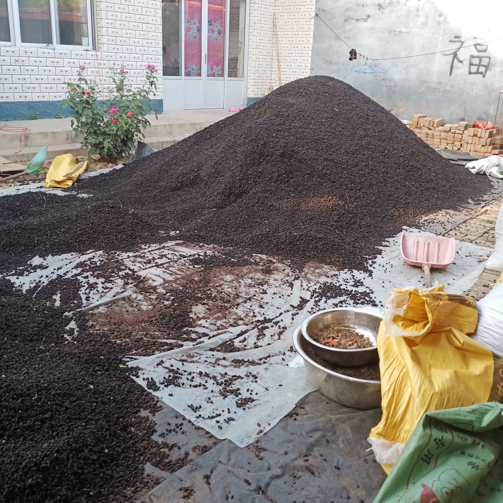 我这里有大量桑葚干需要的可以联系