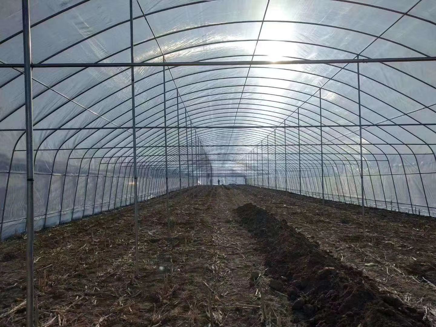 养殖大棚配件 抗腐蚀耐老化热镀锌钢管大棚厂家供应