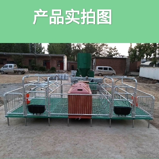 卫辉市 母猪产床保育床两用，热镀锌管、优质复合板复合保温箱、钢板料槽