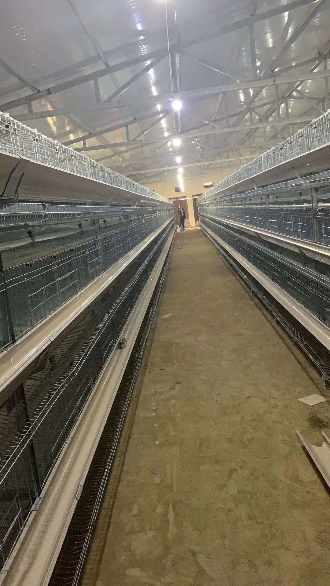 自动化养鸡笼设备