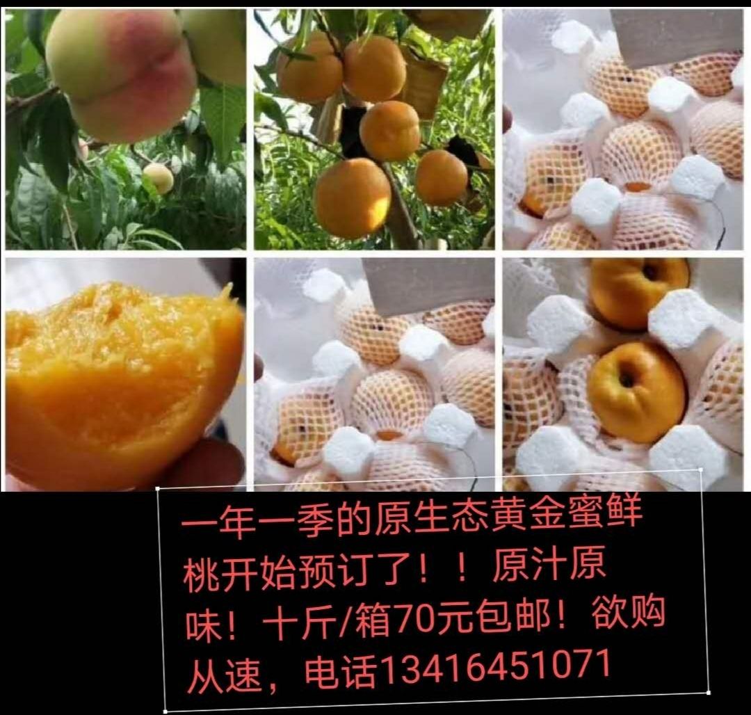 黄金蜜1号 黄河古道边果园/原汁原味/
品名：黄金蜜