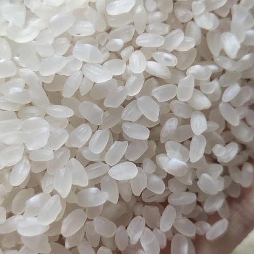 泗洪县 江苏大米
