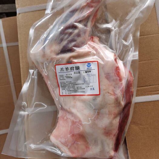 献县羊前腿  厂家直销保质保量