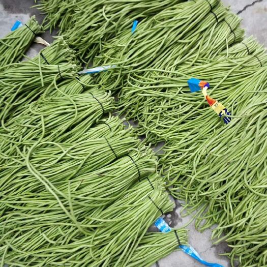 洋县长豇豆  长豆角青豇豆产地直销