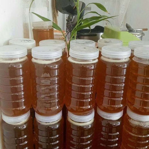 揭西县 各种蜂蜜