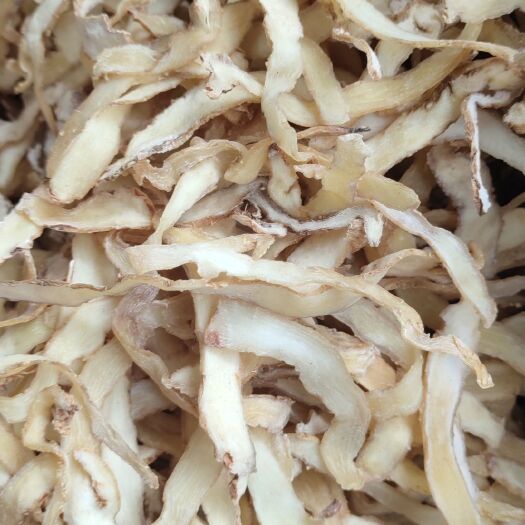 广州湘玉竹   湖南邵东玉竹