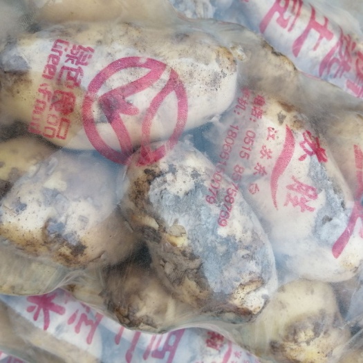 上海 新鲜黄土豆