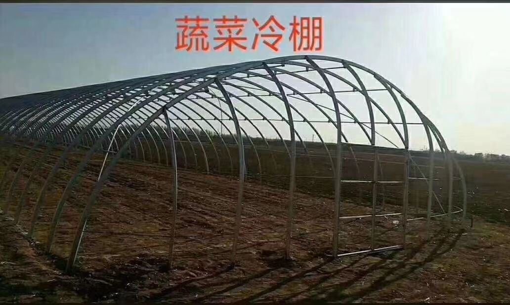 钢管大棚 各种规格样式大棚