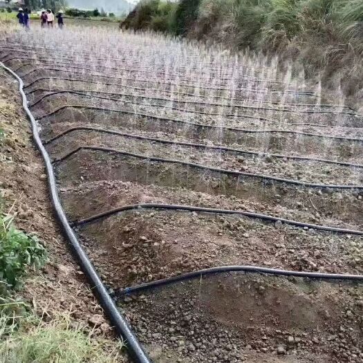 济南微喷带大棚大田的好帮手