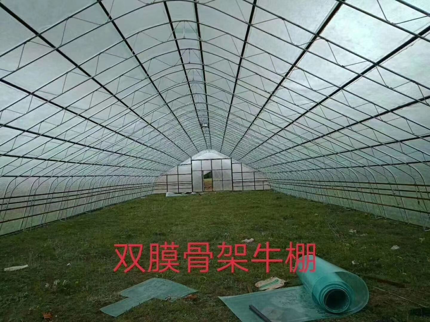 钢管大棚 各种规格样式大棚