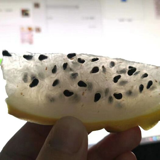 三亚火龙果  海南燕窝果火麒麟果新鲜超甜燕窝果保鲜水果品种黄色白心