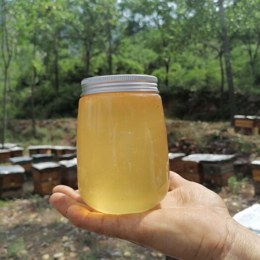 新安县 黛眉山蜂蜜（8年养蜂历程，可视频看货，）