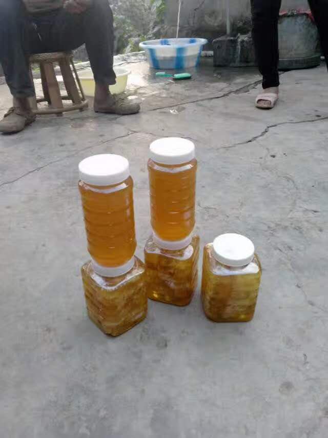  纯本地自家的土蜂蜜，希望懂货的你来预订，预订后现采拿