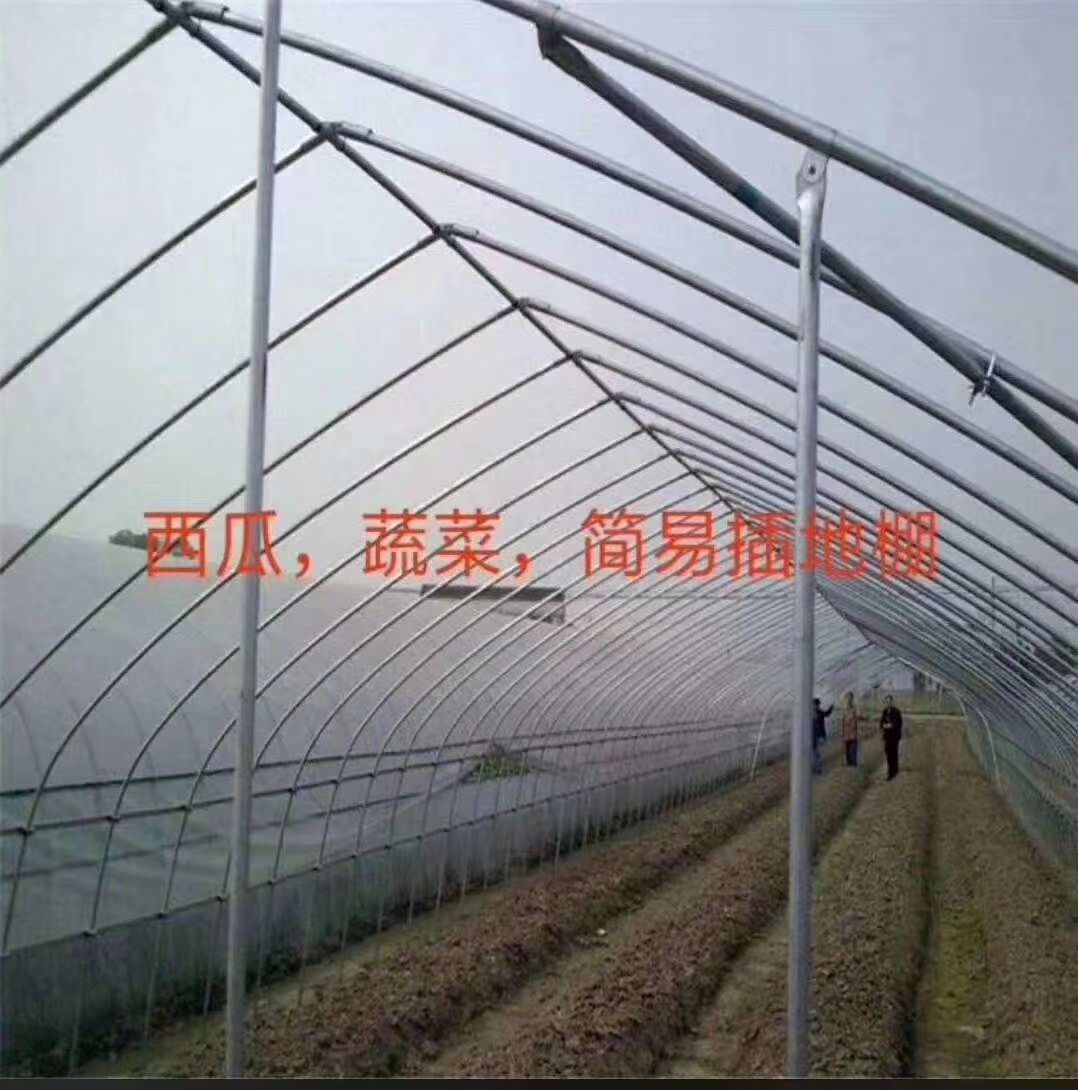 钢管大棚 各种规格样式大棚