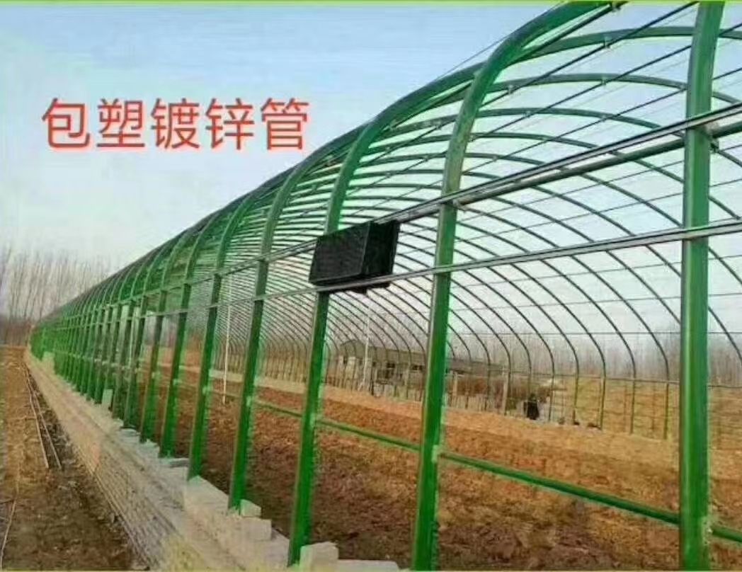 钢管大棚 各种规格样式大棚