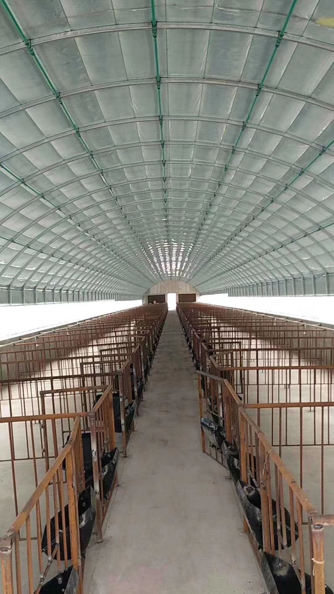 钢管大棚 各种规格样式大棚