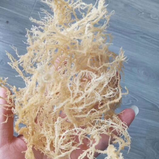 成都龙须菜干海石花干货地摊热卖产品货源