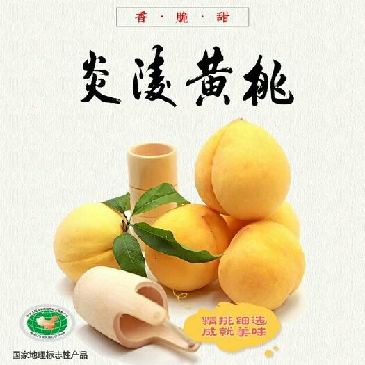 炎陵县炎陵高山锦绣黄桃，种植千米海拔的山谷之中，气候温差大。