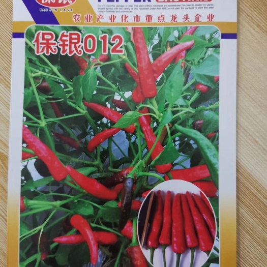 巴彦淖尔朝天椒 特辣