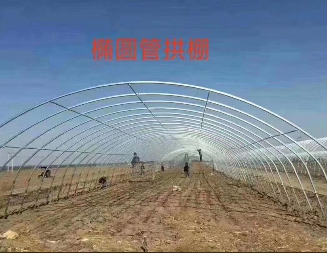 钢管大棚 各种规格样式大棚
