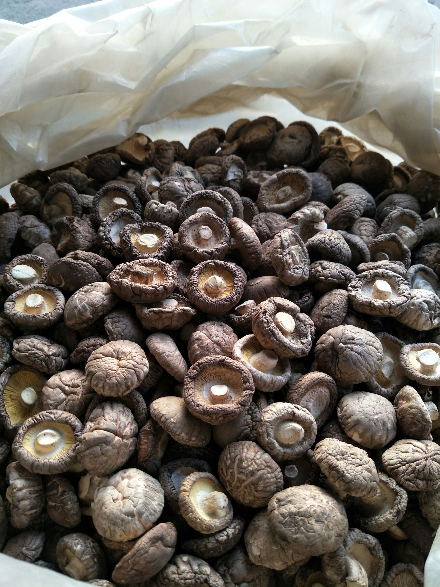【好货】产地直供，香菇，花菇，干香菇包邮