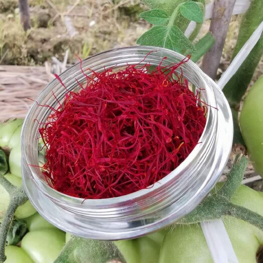 藏红花花丝  伊朗藏红花，送30g黑枸杞