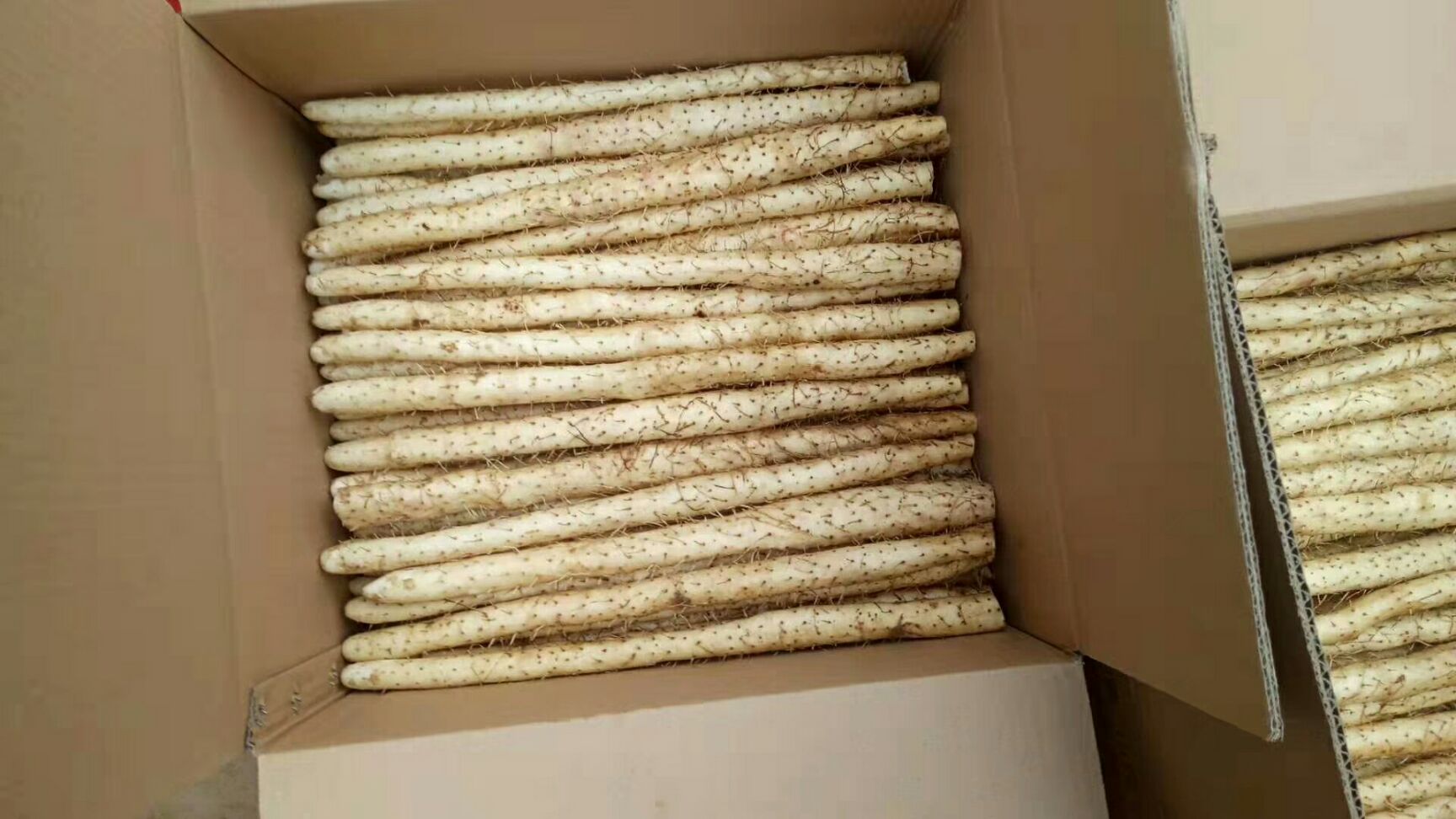 白山药小白嘴，铁棍白山药，白山药，山药豆