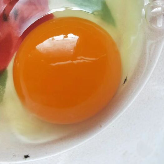 霍邱县 精品双色草鸡蛋
