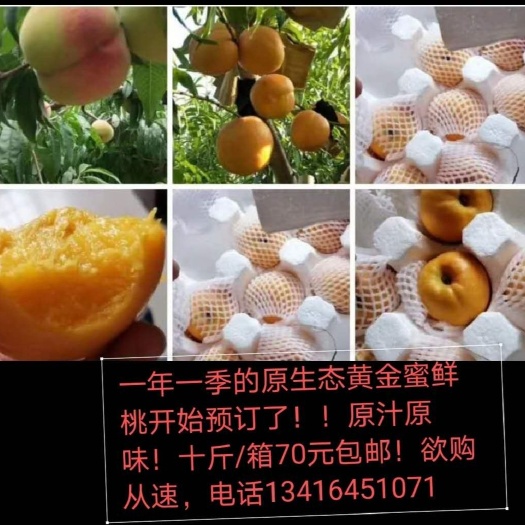 萧县黄金蜜1号 黄河古道边果园/原汁原味/
品名：黄金蜜