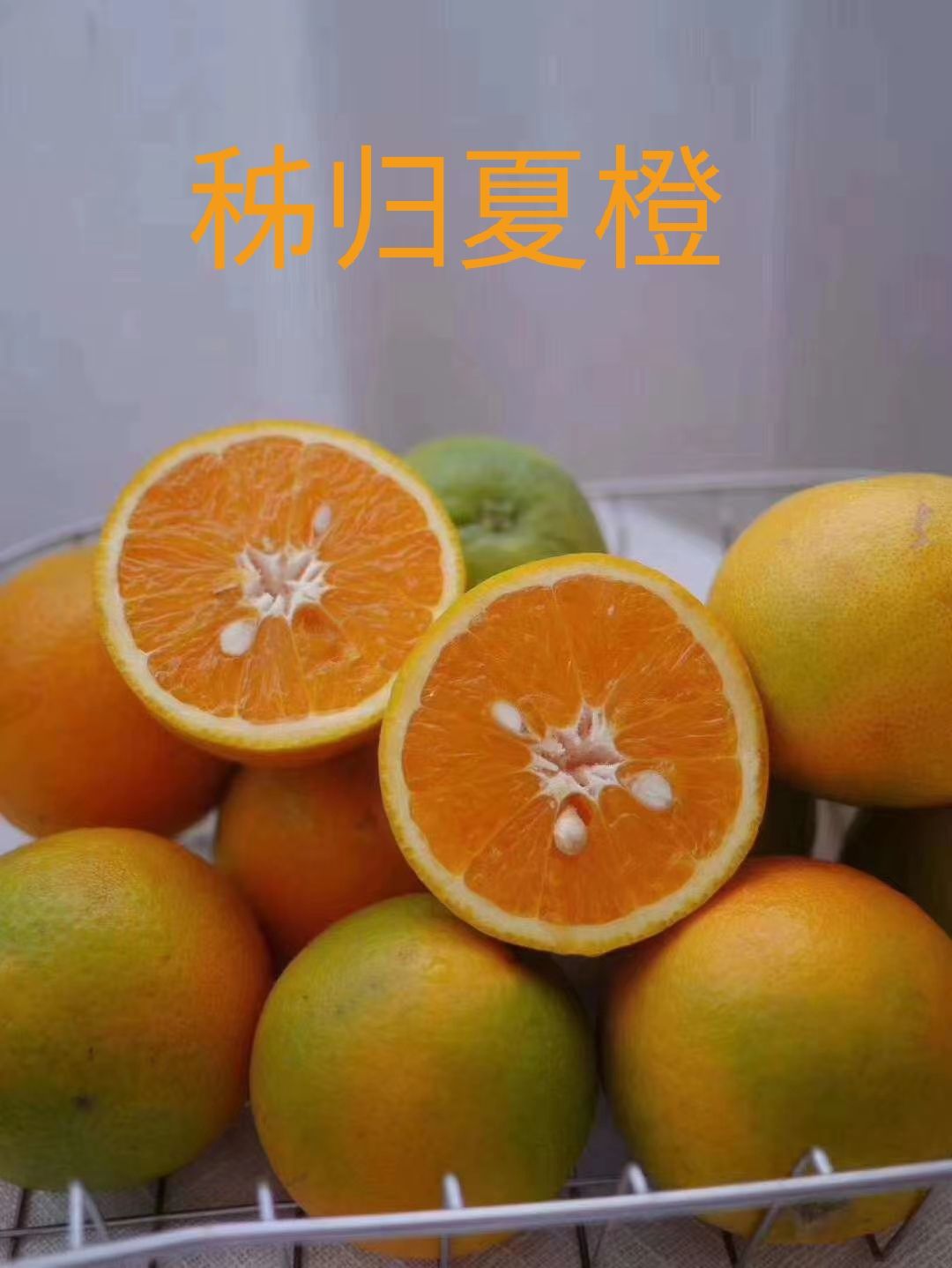 湖北秭归夏橙水分足口感甜，地头看货订购。