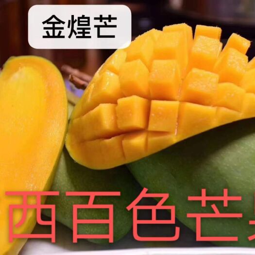田东县 广西百色金煌芒净重8斤，10斤一件代发电商微商社区团购对接